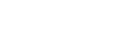 speech and voice enterprises